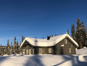 Cozy and Modern Cabin in Beitobygda